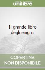 Il grande libro degli enigmi libro