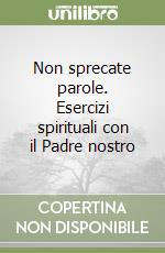 Non sprecate parole. Esercizi spirituali con il Padre nostro libro