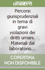 Percorsi giurisprudenziali in tema di gravi violazioni dei diritti umani. Materiali dal laboratorio dell'America latina libro