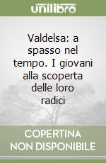 Valdelsa: a spasso nel tempo. I giovani alla scoperta delle loro radici libro