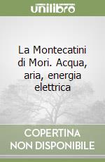 La Montecatini di Mori. Acqua, aria, energia elettrica