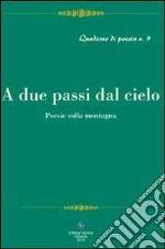 A due passi del cielo libro