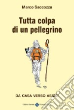 Tutta colpa di un pellegrino. Da casa verso Assisi libro