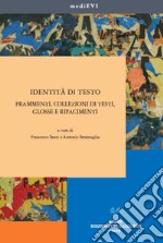 Identità di testo. Frammenti, collezioni di testi, glosse e rifacimenti libro