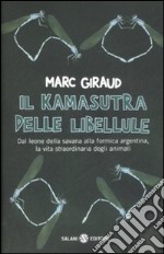 Il kamasutra delle libellule