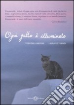 Ogni gatto è illuminato