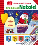 Che bello il Natale! Ediz. a colori libro