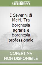 I Severini di Melfi. Tra borghesia agraria e borghesia professionale libro