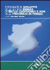 Potenzialità di svilluppo della risorsa Biogas di reflui zootecnici e non nella provincia di Foggia libro