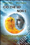 Ciò che sei non è. Alla scoperta del nostro sé più ampio con mente anima spirito libro