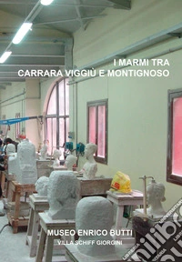 I marmi tra Carrara, Viggiù e Montignoso. La scultura dell'Accademia di Belle Arti di Carrara libro