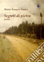 Segreti di pietra libro