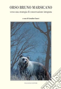 Orso bruno marsicano