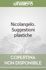 Nicolangelo. Suggestioni plastiche