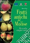 Frutti antichi del Molise. Pero, melo cotogno e sorbo. Sapori e valori da riscoprire libro di Tanno Michele