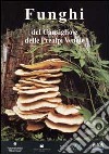 Funghi del Cansiglio e delle Prealpi venete libro