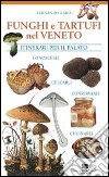 Funghi e tartufi nel Veneto. Itinerari per il palato libro