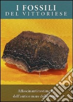 I fossili del vittoriese affascinanti testimoni dell'antico mare della Tetide libro