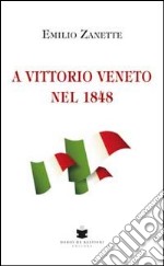 A Vittorio Veneto nel 1848 libro