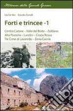 Forti e trincee. Vol. 1: Centro Cadore. Valle del Boite. Zoldano. Alta Pusteria. Landro. Croda Rossa. Tre cime di Lavaredo. Zona Carnia libro