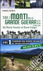 Tra i monti della grande guerra... e non solo. Dal Monte Pasubio al Monte Grappa. Vol. 1: Itinerari dal Monte Pasubio al Passo Vezzena libro