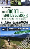 Tra i monti della grande guerra... e non solo. Dal Monte Pasubio al Monte Grappa. Vol. 1: Itinerari dal Monte Pasubio al Passo Vezzena libro di Favrin Dario