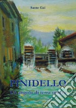 Pinidello. Un angolo di terra veneta libro