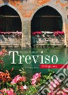 Treviso città gioiosa libro di Vivian Franco