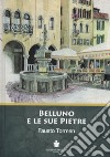 Belluno e le sue pietre libro