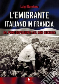 L'emigrante italiano in Francia. Dal primo dopoguerra agli anni Sessanta. Ediz. multilingue libro