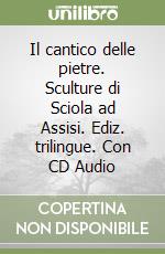 Il cantico delle pietre. Sculture di Sciola ad Assisi. Ediz. trilingue. Con CD Audio libro