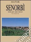 Senorbì. Note per una storia libro