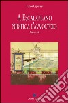 A Escalaplano nidifica l'avvoltoio libro