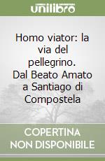 Homo viator: la via del pellegrino. Dal Beato Amato a Santiago di Compostela libro