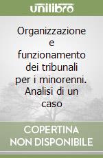 Organizzazione e funzionamento dei tribunali per i minorenni. Analisi di un caso