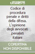 Codice di procedura penale e diritti della difesa. L'opinione degli avvocati penalisti italiani libro