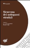 Sicurezza dei sottopassi stradali libro