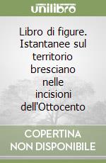 Libro di figure. Istantanee sul territorio bresciano nelle incisioni dell'Ottocento libro