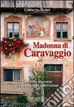 Madonna di Caravaggio. Un libero percorso fra storia, fede e devozione libro