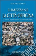 Lumezzane. La città-officina. La vicenda imprenditoriale della valle del Gobbia libro