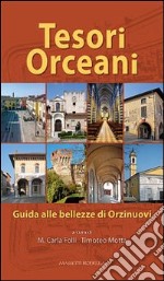 Tesori Orceani. Guida alle bellezze di Orzinuovi