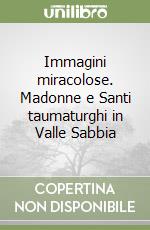 Immagini miracolose. Madonne e Santi taumaturghi in Valle Sabbia libro