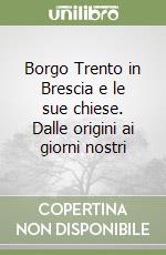 Borgo Trento in Brescia e le sue chiese. Dalle origini ai giorni nostri libro