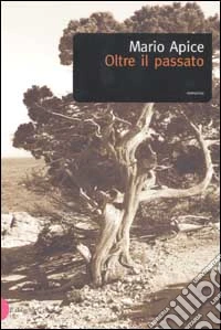 Oltre il passato libro