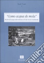 Como acqua de mola. Mulini ad acqua nel territorio di Calci in età medievale