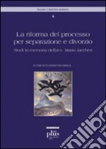 La riforma del processo per separazione e divorzio. Tutele sostanziali e processuali. Studi in memoria dell'avv. Jaccheri libro