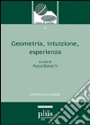 Geometria, intuizione, esperienza libro