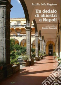 Un dedalo di chiostri a Napoli. Ediz. a colori libro