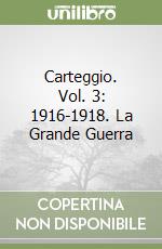 Carteggio. Vol. 3: 1916-1918. La Grande Guerra libro