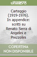 Carteggio (1919-1976). In appendice: scritti su Renato Serra di Angelini e Prezzolini libro